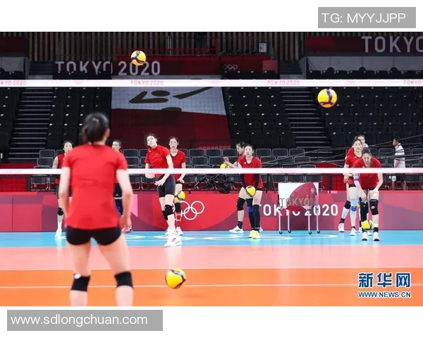 体育实时数据排球爱好者必看护腕选购指南及推荐品牌分析